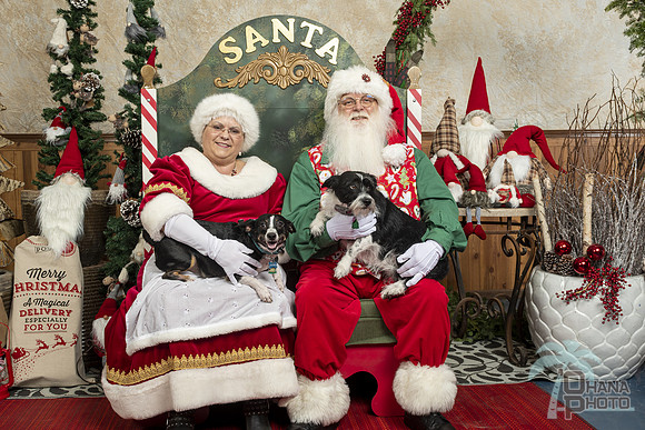 SantaPaws2019-0020