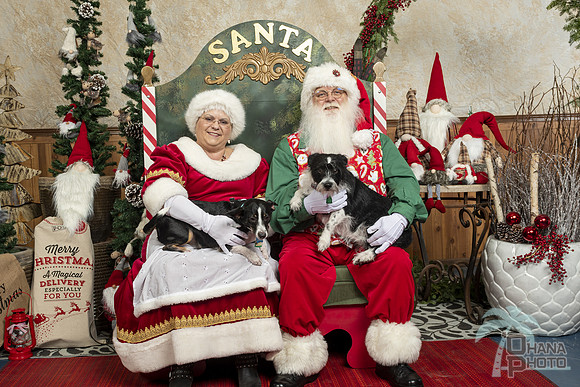 SantaPaws2019-0021