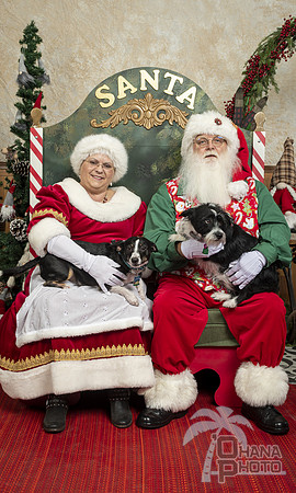 SantaPaws2019-0022