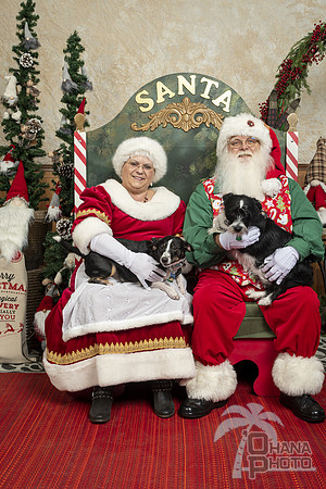 SantaPaws2019-0023
