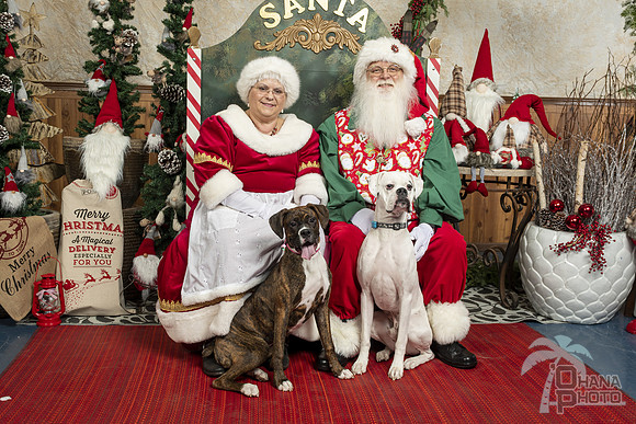 SantaPaws2019-0037