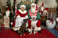 SantaPaws2019-0038
