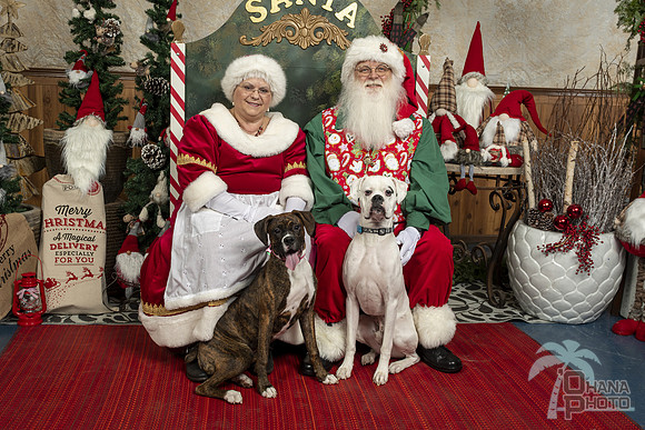 SantaPaws2019-0038