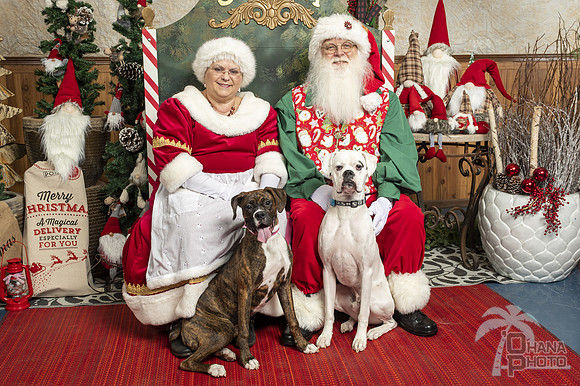 SantaPaws2019-0039