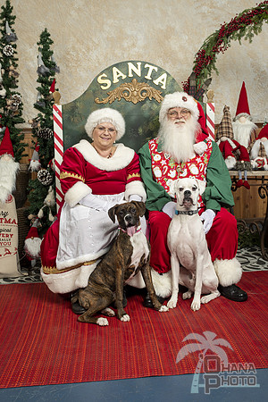 SantaPaws2019-0040