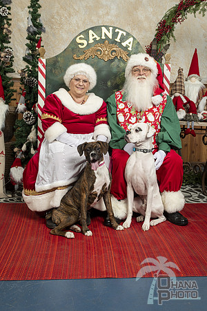 SantaPaws2019-0041