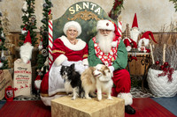 SantaPaws2019-0054