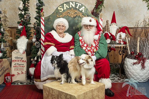 SantaPaws2019-0054