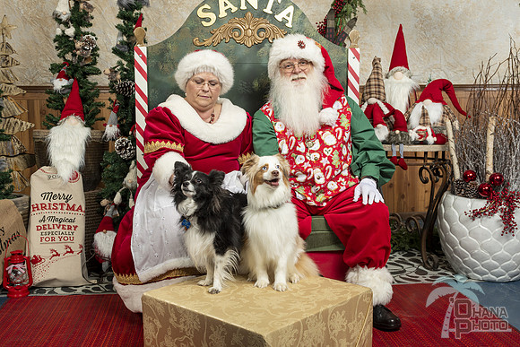 SantaPaws2019-0055