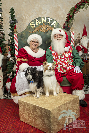 SantaPaws2019-0059