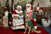 SantaPaws2019-0064