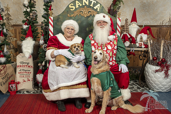 SantaPaws2019-0063