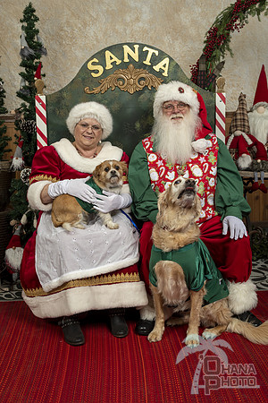 SantaPaws2019-0067