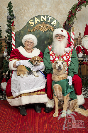 SantaPaws2019-0068