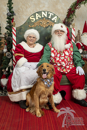 SantaPaws2019-0085