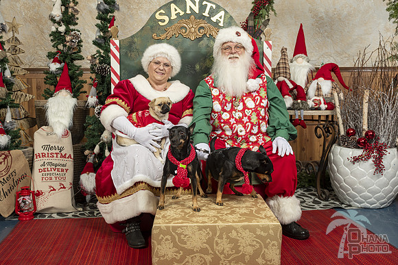 SantaPaws2019-0101