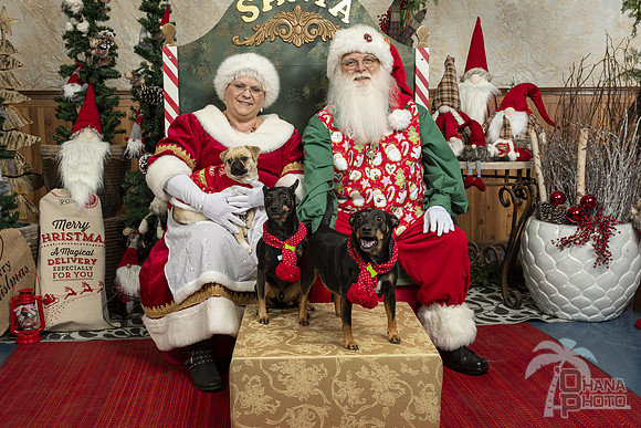 SantaPaws2019-0102