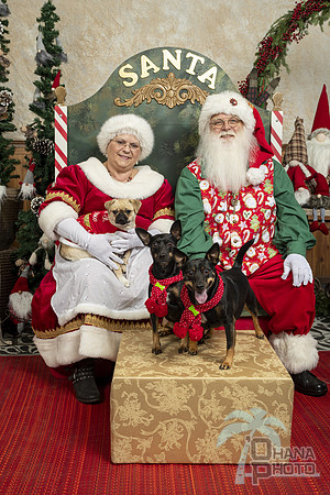 SantaPaws2019-0103