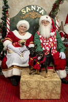 SantaPaws2019-0105