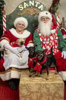 SantaPaws2019-0106