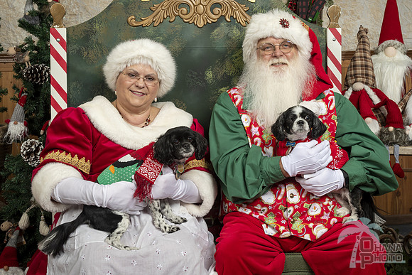 SantaPaws2019-0124