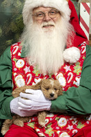 SantaPaws2019-0143