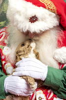 SantaPaws2019-0148