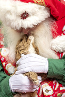 SantaPaws2019-0149