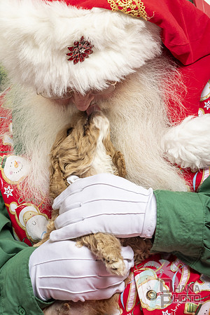 SantaPaws2019-0149