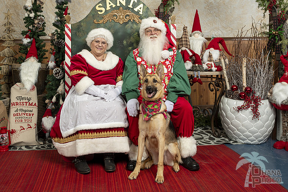 SantaPaws2019-0213