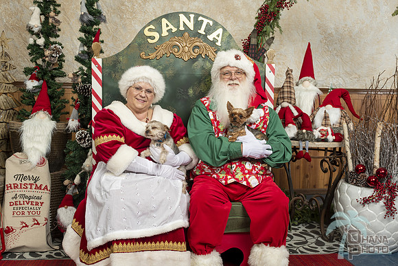 SantaPaws2019-0246