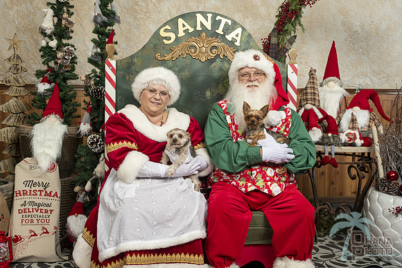 SantaPaws2019-0247