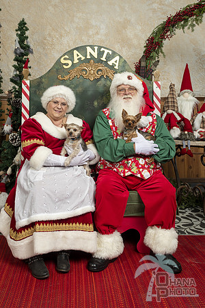 SantaPaws2019-0250