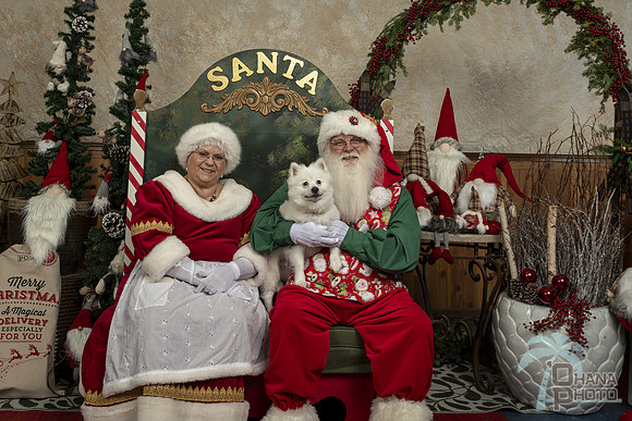 SantaPaws2019-0272
