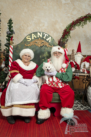 SantaPaws2019-0273