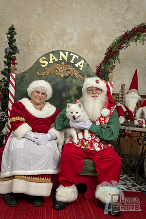 SantaPaws2019-0275