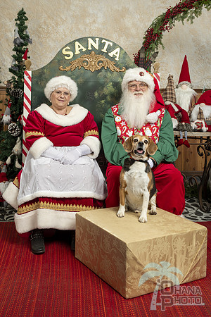 SantaPaws2019-0311