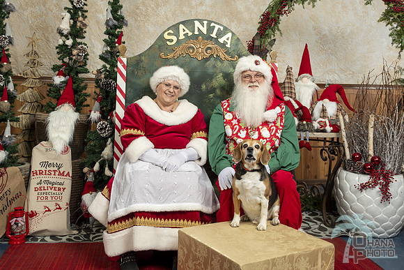 SantaPaws2019-0314