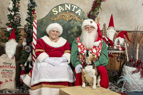 SantaPaws2019-0316
