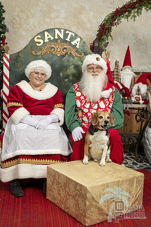 SantaPaws2019-0317