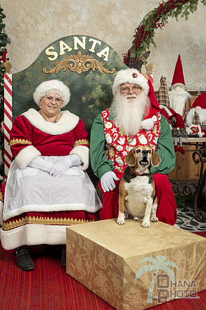 SantaPaws2019-0318