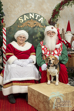SantaPaws2019-0319