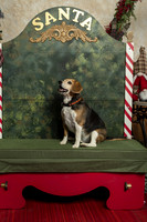 SantaPaws2019-0320