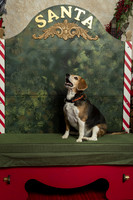 SantaPaws2019-0321