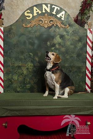 SantaPaws2019-0321