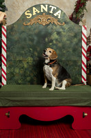 SantaPaws2019-0322