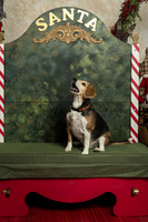SantaPaws2019-0323