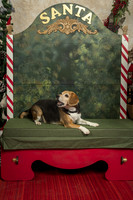 SantaPaws2019-0324