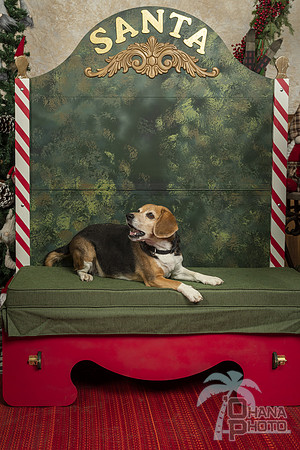 SantaPaws2019-0324