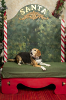 SantaPaws2019-0325